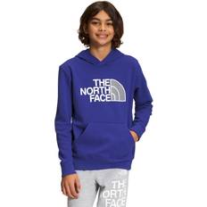 Boys north face hoodie Children's Clothing The North Face Boys' Camp Pullover Hoodie, Lapis Blue