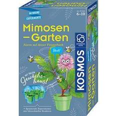 Günstig Experimentierkästen Kosmos Experimentierkasten Mimosen-Garten mehrfarbig