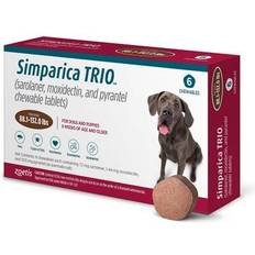 Pets Chewable Tablets for Dogs 6-pack