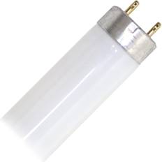 Energy-Efficient Lamps Halco ProLume BC2832 109324 F17T8/741/ECO Straight T8 Fluorescent Tube Light Bulb