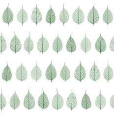 Brewster Home Fashions Greenhouse Leaves Wallpaper