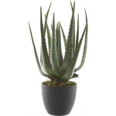 Aloe Vera im Künstliche Pflanzen