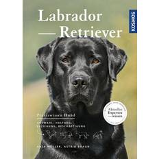 Hunde Actionfiguren Kosmos Labrador Retriever