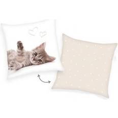 Quadratisch Kopfkissen Herding Kitten Sweat Dreams Pillow 40x40cm