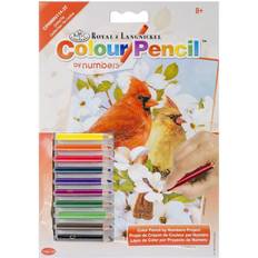 Mini Color Pencil By Number Kit 5"X7"-Cardinal Pair By Royal Brush MichaelsÂ Multicolor 5"X7"