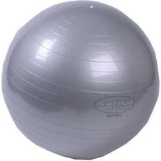 Fitnessbälle Gymnastikball Rehaforum 65 cm silber metallic