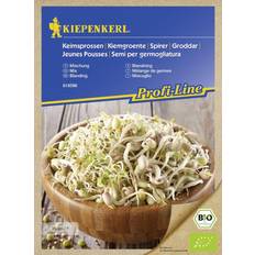 Gemüsesamen Kiepenkerl Profi-Line Mischung 1 Portion
