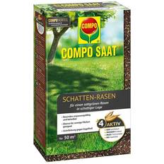 Saatgut Compo SAAT Schatten-Rasen, Rasensamen Grassamen, Spezielle