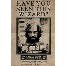 Tre Postere Pyramid International Harry Potter Wanted Sirius Poster 61x91.5cm