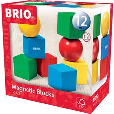 BRIO Magnetic Blocks 30123