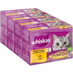 Whiskas Katzen - Nassfutter Haustiere Whiskas Multipack 11+ Geflügel Auswahl