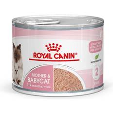 Royal Canin Mother & Babycat Mousse 12x195g