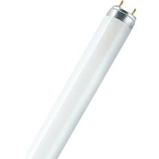 Osram Lumilux T8 Fluorescent Lamp 18W G13