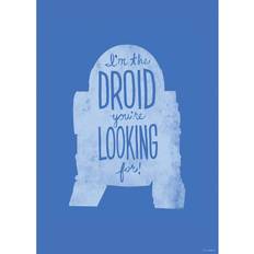 Papier Einrichtungsdetails Komar Wandbild Star Wars Silhouette Quotes R2D2