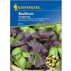 Kiepenkerl Basilikum Try-Basil-Mix Ocimum basilicum, Inhalt: ca.