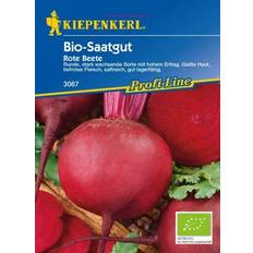 Gemüsesamen Kiepenkerl Bio-Saatgut Rote Beta subsp.