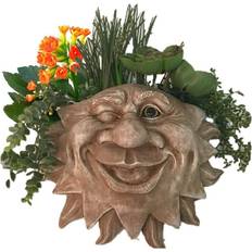 Homestyles Muggly's The Face Mr. Sun Shine Tree