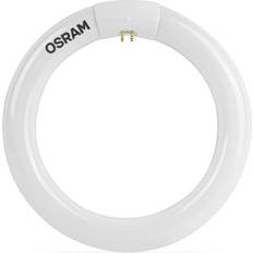 Ringförmig Leuchtmittel Osram Lumilux T9 C Fluorescent Lamp 22W G10q