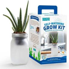 Back To The Roots Propagators Back To The Roots Self Watering Grow Kit
