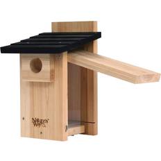 Bird Nature's way products cwh4 cedar viewing Decorative Item