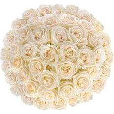 Flowers for Weddings Fresh Cut White Roses Bunches 50