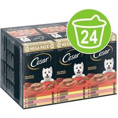 Cesar Cuisine in Sauce Multipack Nassfutter Hund Pro 2 Packungen