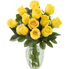 Flowers Bouquet of Fresh Yellow Roses Large Bouquet 12
