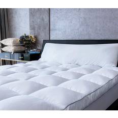Queen Rose Cooling Plush Pillow Top 18 inch Bed Mattress