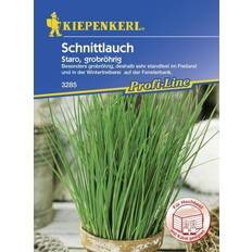 Gemüsesamen Kiepenkerl Schnittlauch Staro ca. 100
