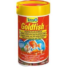 Tetra Hunde Haustiere Tetra goldfish 100 goldfische