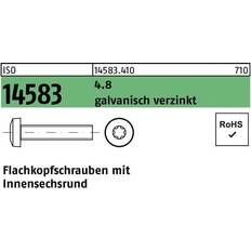 Flachkopfschraube ISO 14583 m.Innensechsrund M verzinkt pro