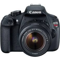 Canon EOS Rebel T5 + EF-S 18-55mm IS II + EF 75-300mm F4-5.6 III