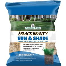 Sail Awnings Green Black Beauty Sun & Shade Mixed Partial Shade/Sun Grass Seed 3