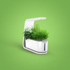 AeroGarden Sprout with Gourmet Herbs Seed Pod Kit