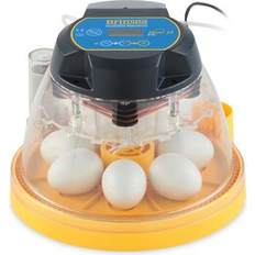 Egg Cookers on sale 7-Egg Capacity Mini II