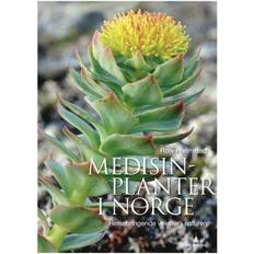 Beste Bøker Medisinplanter i Norge : helsebringende vekster i naturen (Innbundet, 2012)