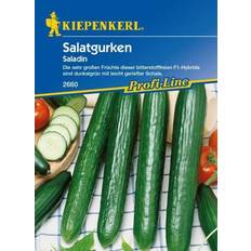 Gemüsesamen Kiepenkerl Salatgurke Saladin Cucumis sativus, Inhalt: