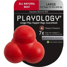 Playology Puppy Sensory Ball Peanut Butter Dog Toy, Blue, Small