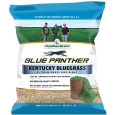 Green Blue Panther Kentucky Blue Grass Blend Seed Mix, 3# bag