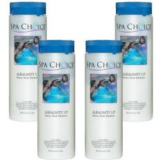 Spa Choice Pool Chemicals Spa Choice and Hot Tub 2 lb. Alkalinity Up 4-Pack