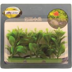 Trær & Busker Meadow Ludwigia plastic 6cm