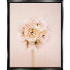 Stupell Industries Pastel Pink Floral Sprig Bloom Botanical & Floral Photograph Jet Black Wall Decor