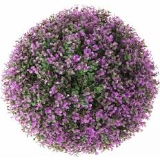 Potter, Planter & Dyrking Dekorationspflanze Bold Lavendel 30