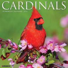 Willow Creek Press Office Supplies Willow Creek Press Cardinals 2024 Calendar