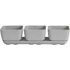 Novelty Outdoor Planter Boxes Novelty #10010 Herb Trio with Attached Tray
