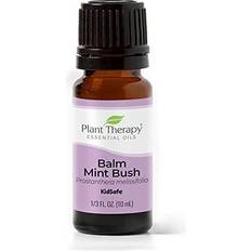 Plant Therapy Balm Mint Bush Essential Oil