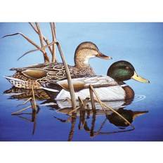 Royal Paint By Number Kit 15.375 X11.25 -Blue Water Mallards