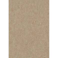 Beige Linoleum Flooring Forbo MarmoleumLoc Seal Waterproof 12x12 Square Color: Weathered Sand