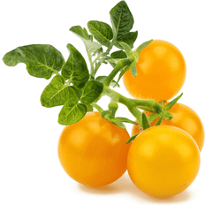 Click and Grow Plant Nutrients & Fertilizers Click and Grow smart garden yellow mini tomato