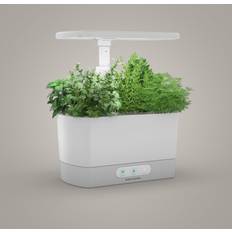AeroGarden Pots, Plants & Cultivation AeroGarden harvest 6 pod home system